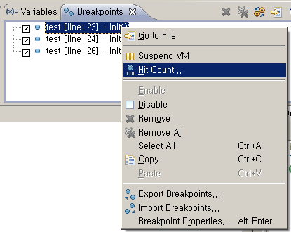 Breakpoint Hit Count