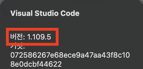 VS Code 버전