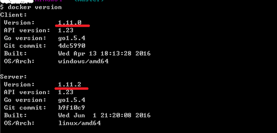 02_docker_version.png